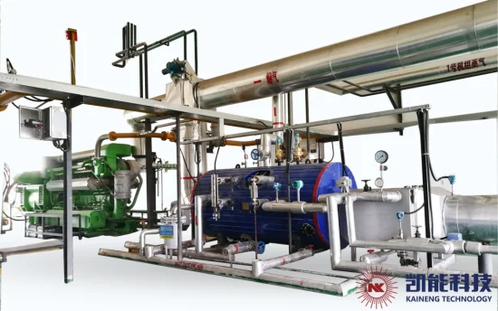 Chaudière à vapeur horizontale Egb de récupération de chaleur résiduelle de 3 tonnes pour les groupes électrogènes à gaz